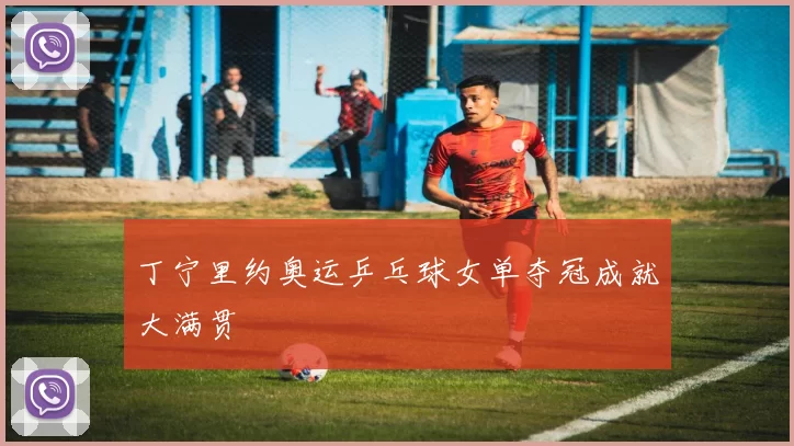 丁宁里约奥运乒乓球女单夺冠成就大满贯