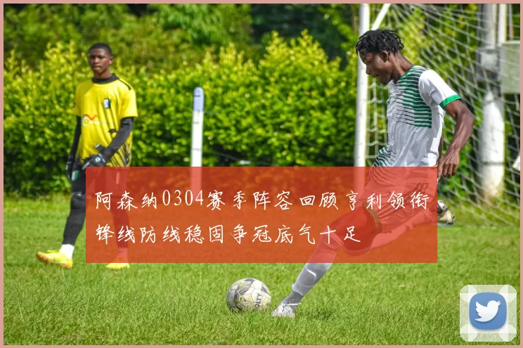 阿森纳0304赛季阵容回顾亨利领衔锋线防线稳固争冠底气十足