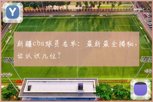 新疆cba球员名单：最新最全揭秘，你认识几位？