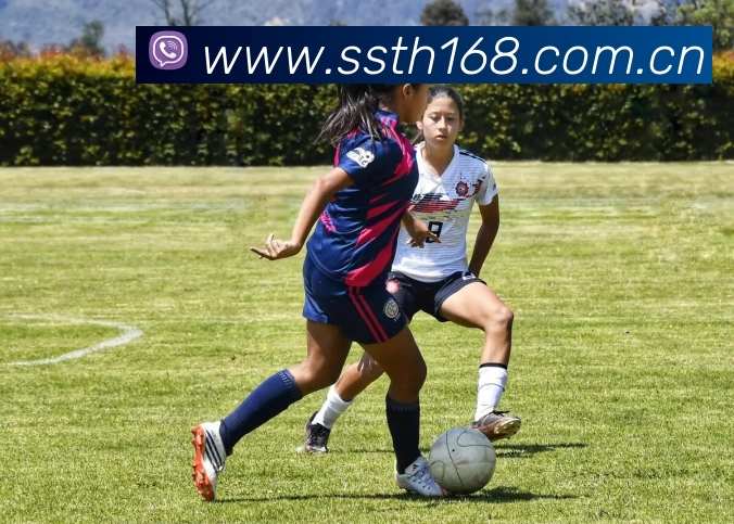 kaiyun体育在线登陆入口(China)官方网站服务体系